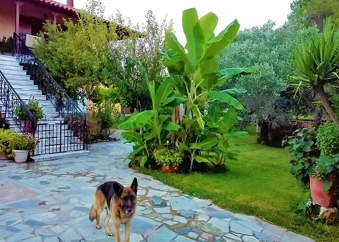 Cottage House,With Big Garden & Lawn