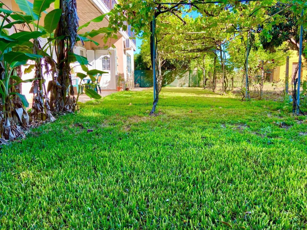 House,with Big Garden & Lawn * Amaliada