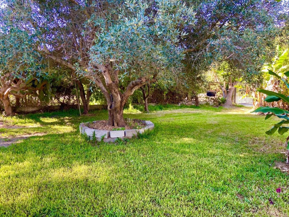 Apartment House,with Big Garden & Lawn *